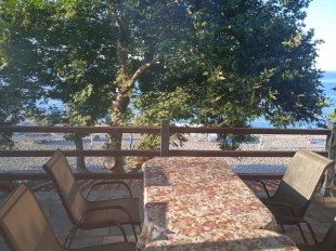 ΠΟΤΟΥ ΑΝΔΡΟΜΑΧΗ ΔΩΜΑΤΙΑ ΚΟΥΤΣΟΥΠΙΑ